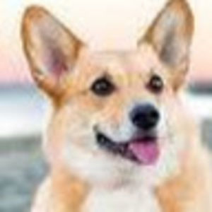 Meet your Posher, Landry